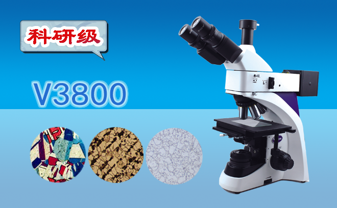 1673490096111705.png 金相黄瓜视频下载APP最新版.png